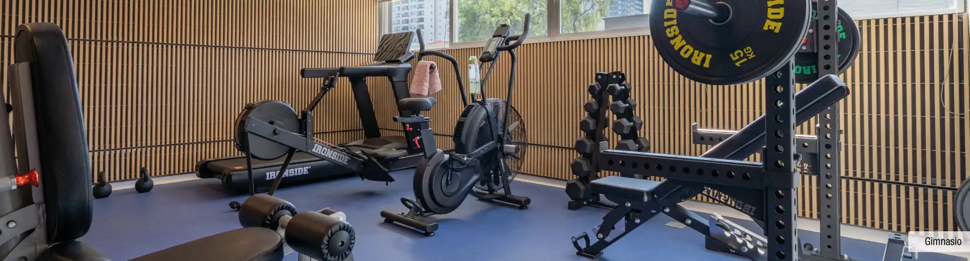 Gimnasio equipado en Edificio Briones Luco, La Cisterna, ideal para tu entrenamiento diario.