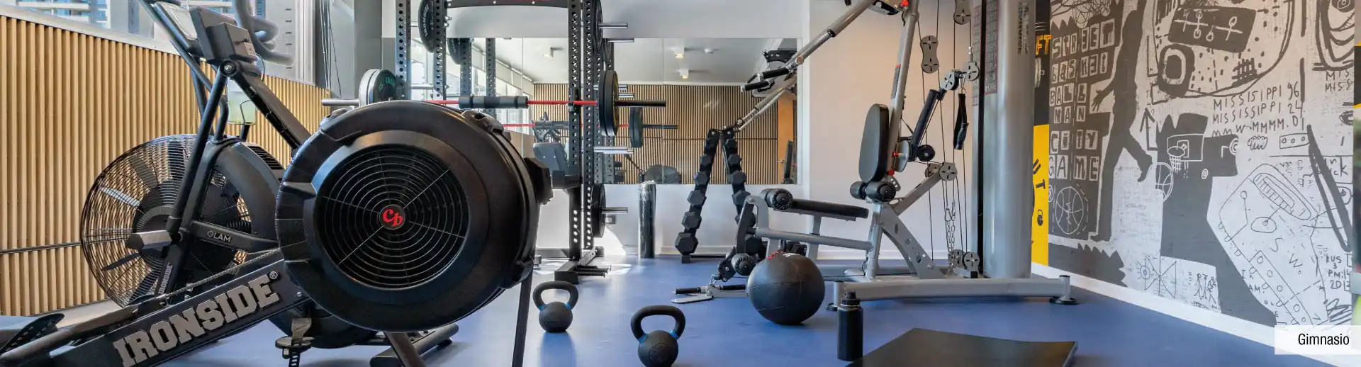 Gimnasio totalmente equipado en Edificio Briones Luco, La Cisterna, para tu entrenamiento.